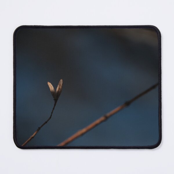 Item preview, 2 Dry up flower photography with beautiful back ground designed and sold by tenkenryujin.