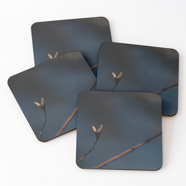 Item preview, 2 Dry up flower photography with beautiful back ground  designed and sold by tenkenryujin.