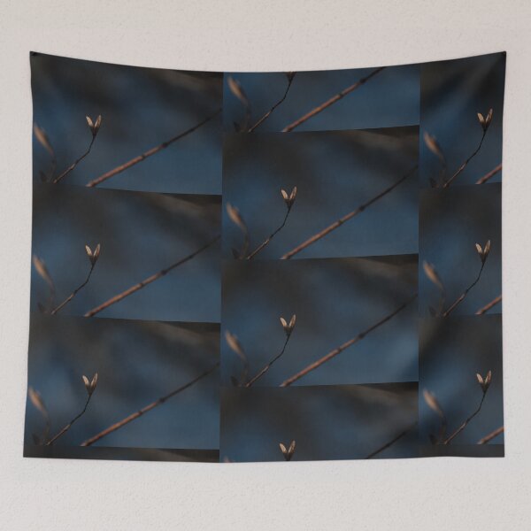 Item preview, 2 Dry up flower photography with beautiful back ground  designed and sold by tenkenryujin.