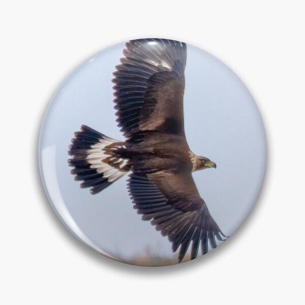 Item preview, Eagle Taiwan Golden Bee Sky Warrior designed and sold by Patsummit.