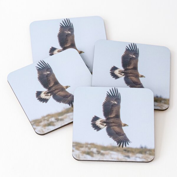Item preview, Eagle Taiwan Golden Bee Sky Warrior designed and sold by Patsummit.