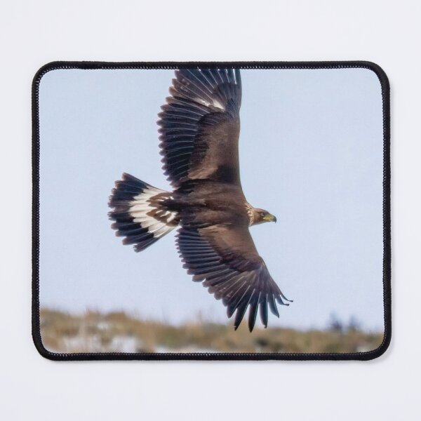 Item preview, Eagle Taiwan Golden Bee Sky Warrior designed and sold by Patsummit.