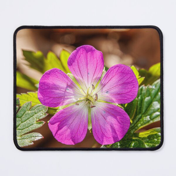 Item preview, Wild Geranium designed and sold by Fultz-Brothers.