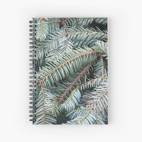 Pine Spiral Notebook