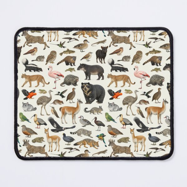 Item preview, Animals of the Andes Retro Identification Chart designed and sold by kakarikihill.