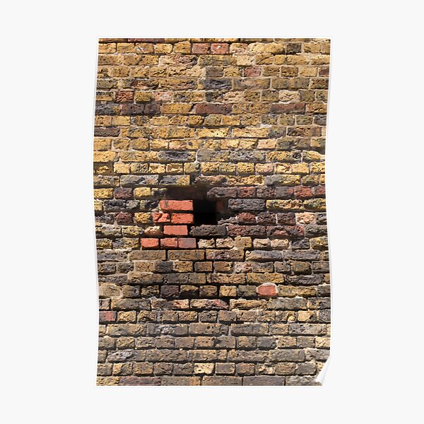 Another Brick in the Wall (portrait) Poster