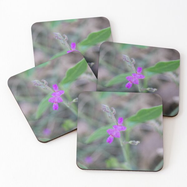 Item preview, Spanish clover designed and sold by ROSE ANN BANILAR.