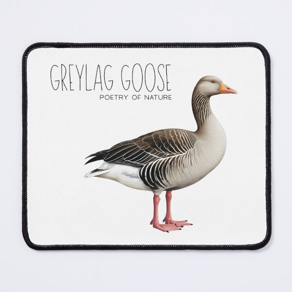 Item preview, Greylag Goose Poetry of Nature – Elegant Bird Illustration designed and sold by ArcticFoxStudio.