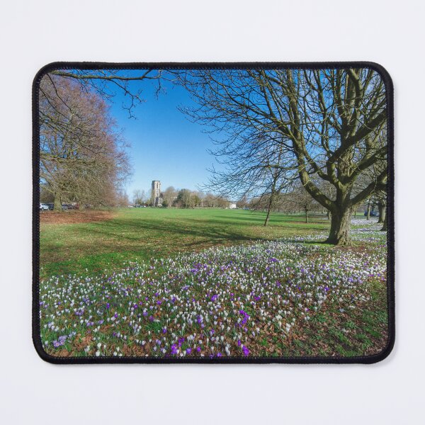Item preview, Harrogate The Stray designed and sold by Alisonchambers2.
