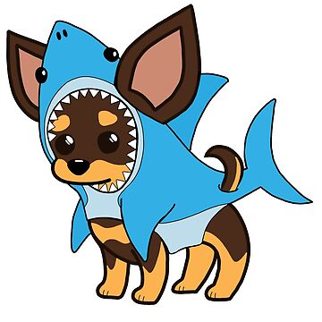 Chihuahua shark outlet costume