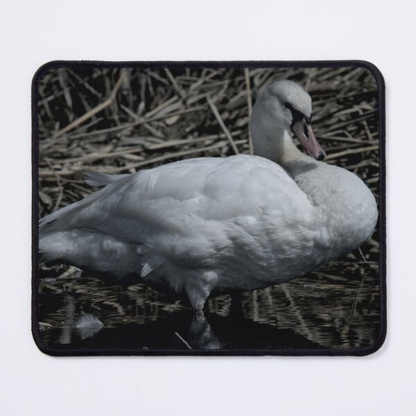 Item preview, Frozen reality - Beautiful nature 610 designed and sold by deep-sea-birds.
