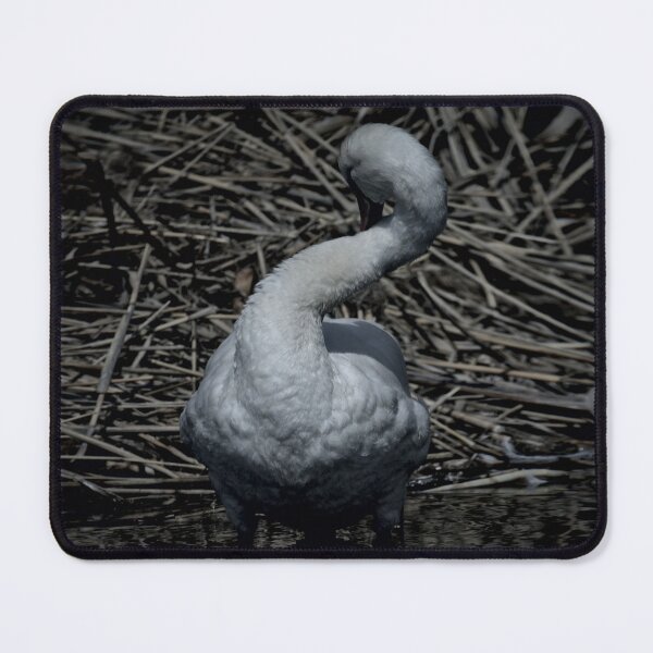 Item preview, Frozen reality - Beautiful nature 612 designed and sold by deep-sea-birds.