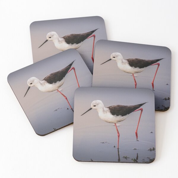 Item preview, Black-winged Stilt - Elegant Wading Bird Photography, Kruger National Park South Africa designed and sold by Johnathan Robinson Photography.