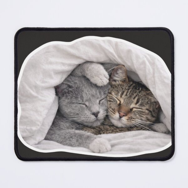 Item preview, Funny Pets Moments. Lazy Day designed and sold by Nika Art Studio.