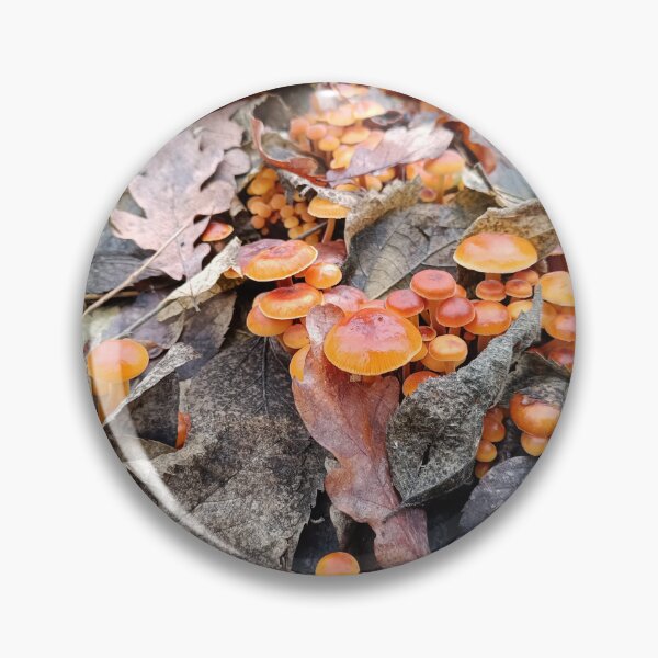 Item preview, Winter Mushroom (Flammulina velutipes) Close-Up on Forest Trunk with Autumn Leaves designed and sold by EmeraldeaArt.
