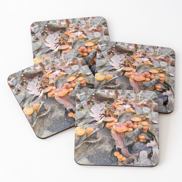 Item preview, Winter Mushroom (Flammulina velutipes) Close-Up on Forest Trunk with Autumn Leaves designed and sold by EmeraldeaArt.