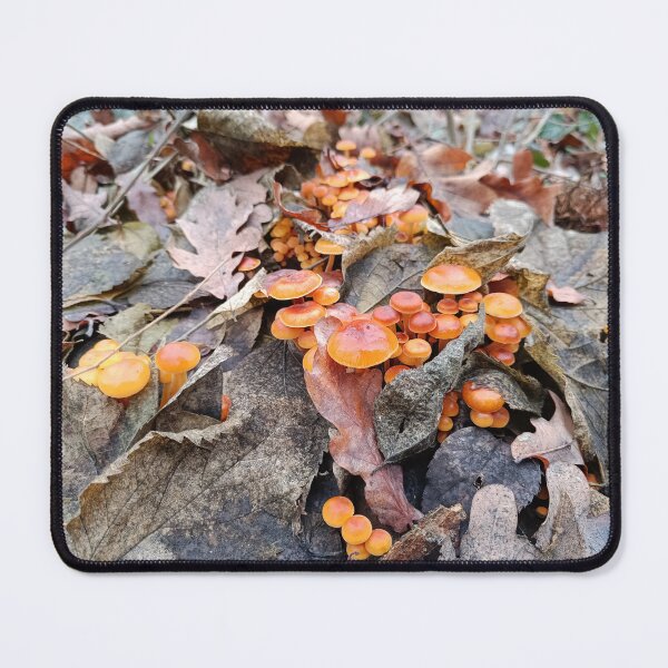 Item preview, Winter Mushroom (Flammulina velutipes) Close-Up on Forest Trunk with Autumn Leaves designed and sold by EmeraldeaArt.