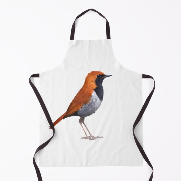 Item preview, Okinawa Robin (Larvivora namiyei) designed and sold by HOMETOWN86.