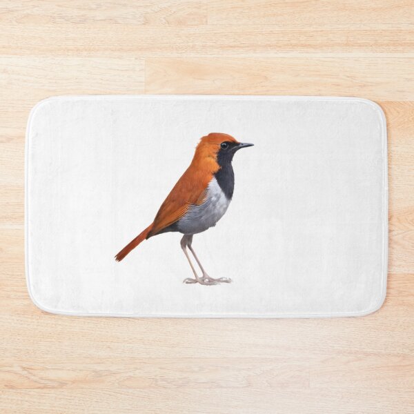 Item preview, Okinawa Robin (Larvivora namiyei) designed and sold by HOMETOWN86.