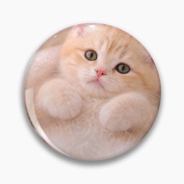 Item preview, Tiny Ginger Kitten with Pink Paw Beans designed and sold by LovelyCatGalaxy.