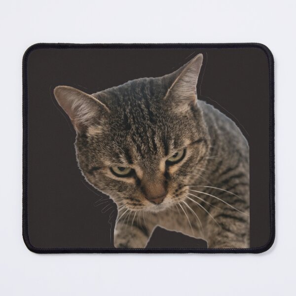 Item preview, Funny Pets Moments designed and sold by Nika Art Studio.