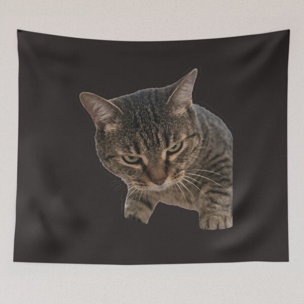 Item preview, Funny Pets Moments designed and sold by Nika Art Studio.