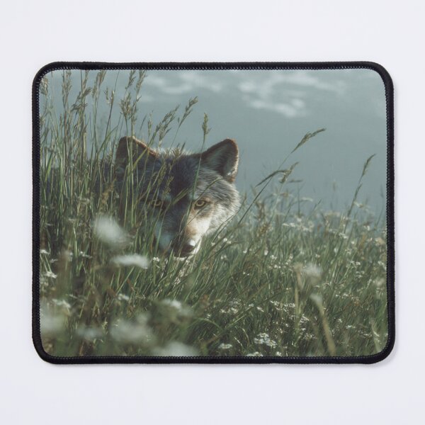 Item preview, Wild Wolf Peeking Through Grass Mountain Nature designed and sold by NicolasGlowArt.