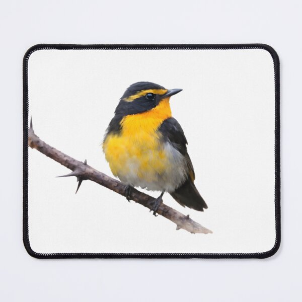 Item preview, Ryukyu Flycatcher (Ficedula owstoni) designed and sold by HOMETOWN86.