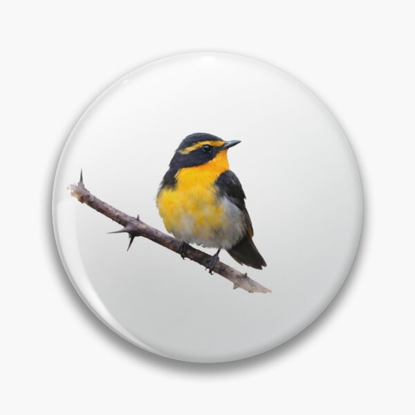 Item preview, Ryukyu Flycatcher (Ficedula owstoni) designed and sold by HOMETOWN86.