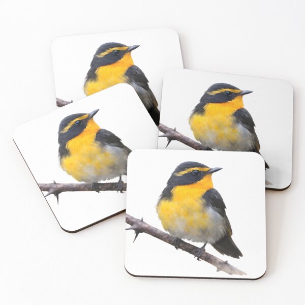 Item preview, Ryukyu Flycatcher (Ficedula owstoni) designed and sold by HOMETOWN86.