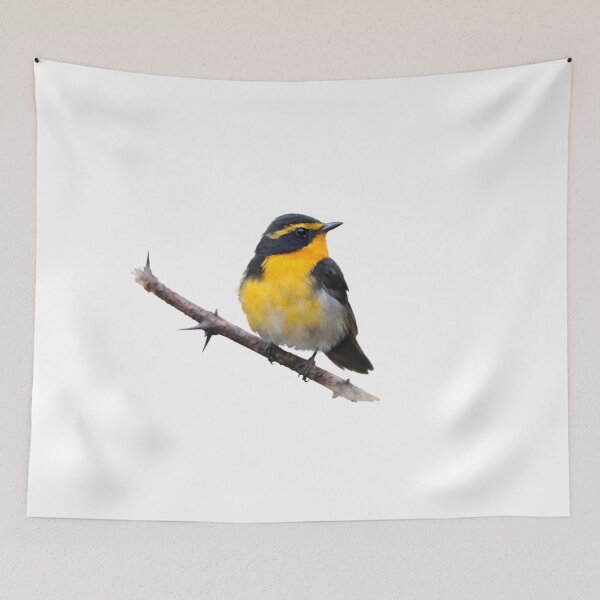 Item preview, Ryukyu Flycatcher (Ficedula owstoni) designed and sold by HOMETOWN86.