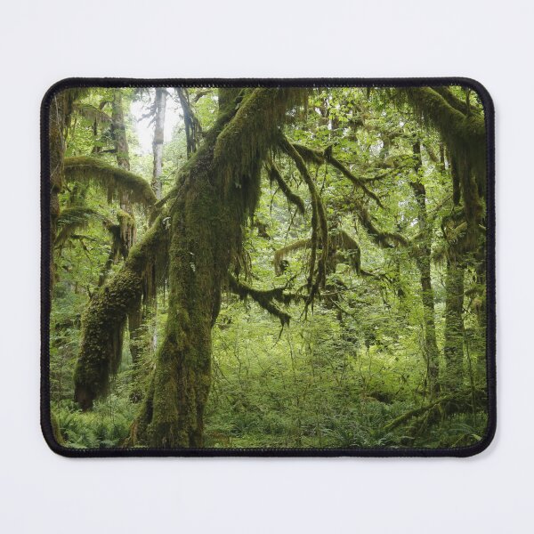 Item preview, Hoh Rainforest Washington State Mossy Forest Landscape Wall Art Print designed and sold by Explore The Wilds.