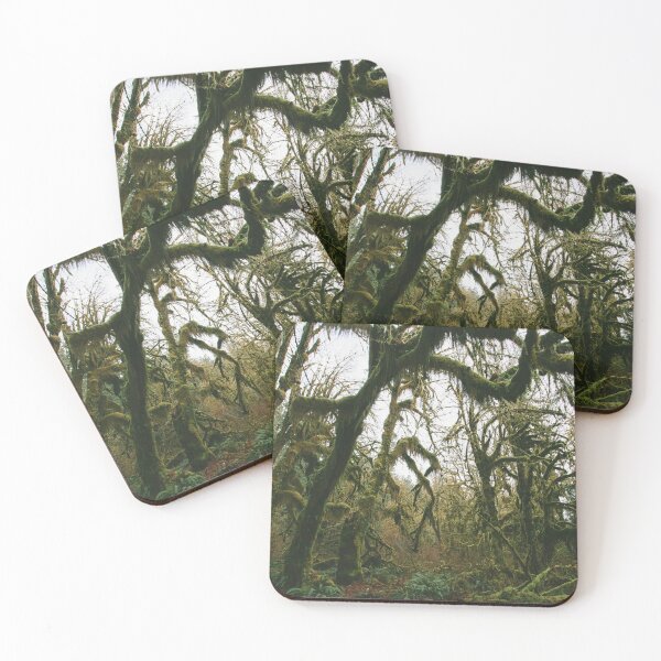 Item preview, Hoh Rainforest Washington State Moody Mossy Forest Wall Art Print designed and sold by Explore The Wilds.