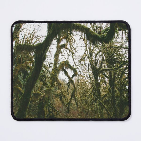 Item preview, Hoh Rainforest Washington State Moody Mossy Forest Wall Art Print designed and sold by Explore The Wilds.