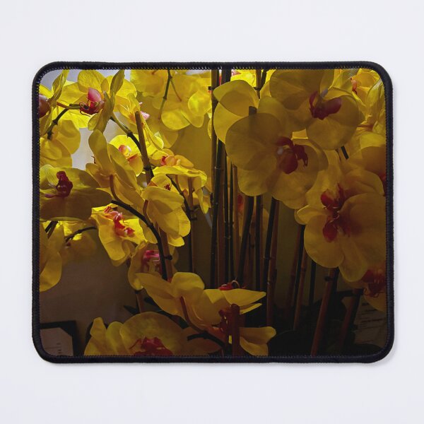Item preview, Orchids  designed and sold by BOBBYBABE.
