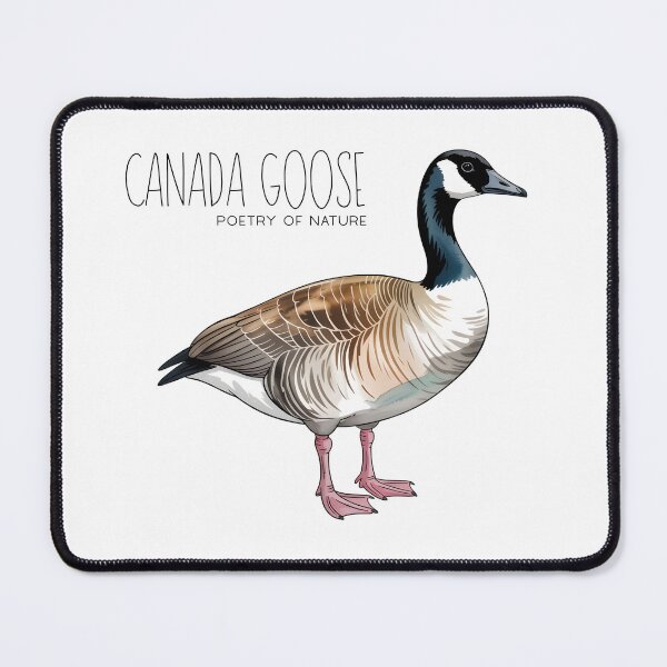 Item preview, Canada Goose Poetry of Nature – Elegant Bird Illustration designed and sold by ArcticFoxStudio.