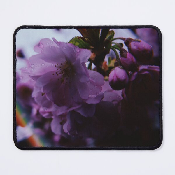 Item preview, rhododendron flowers beginning to bloom at Edinburgh Botanic Gardens (March 2026)  designed and sold by photosbykel.
