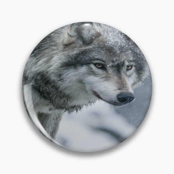 Item preview, Majestic Gray Wolf in Winter Snow Wildlife Portrait designed and sold by NicolasGlowArt.