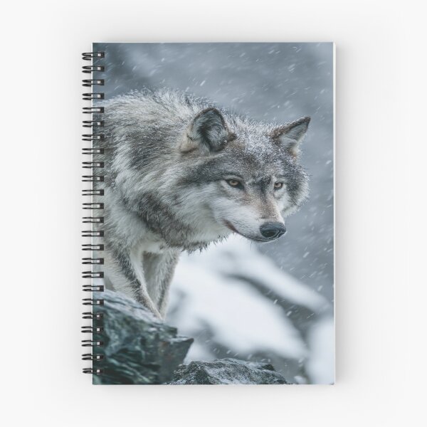 Item preview, Majestic Gray Wolf in Winter Snow Wildlife Portrait designed and sold by NicolasGlowArt.