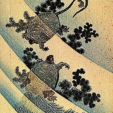 Artwork thumbnail, 'Turtles' by Katsushika Hokusai (Reproduction). by Classic Visions Gallery