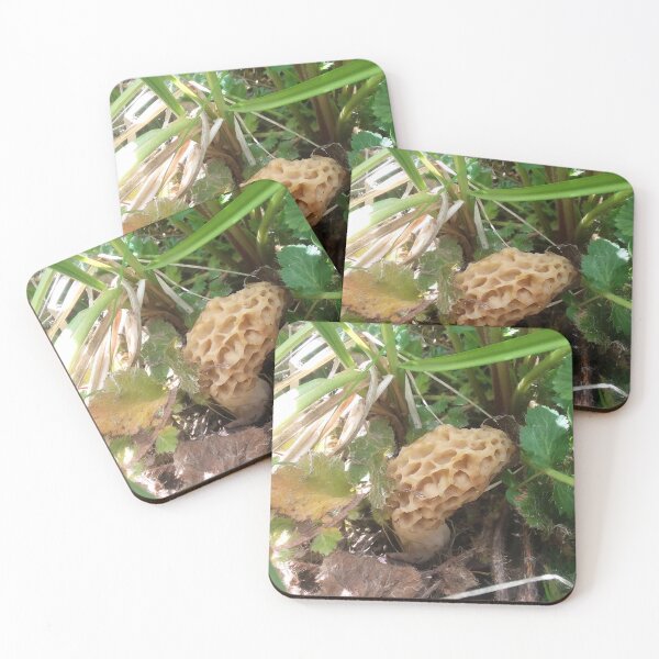Item preview, Springtime in Idaho designed and sold by AlpineArtsZen.