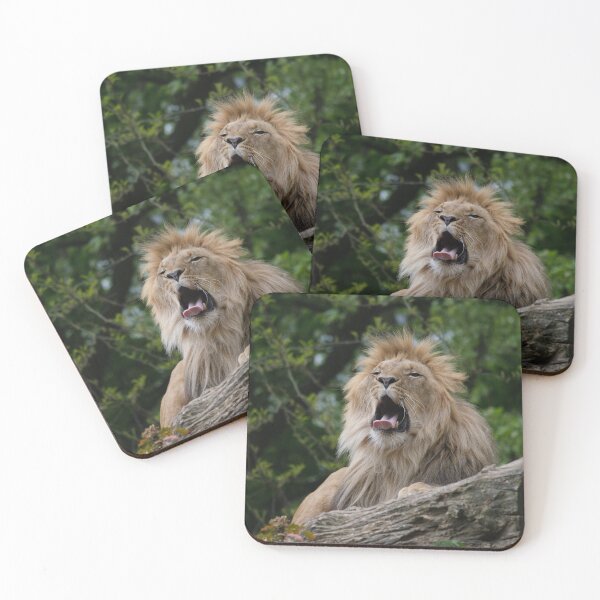 Item preview, Majestic Lion Wildlife Photography Print designed and sold by flowlens.media.