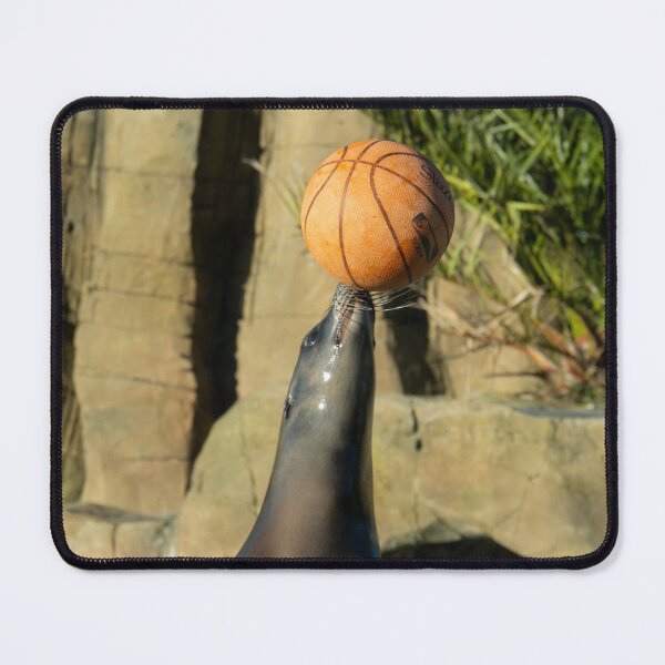 Item preview, Sea Lion Balancing Basketball Funny Wildlife Photo designed and sold by flowlens.media.