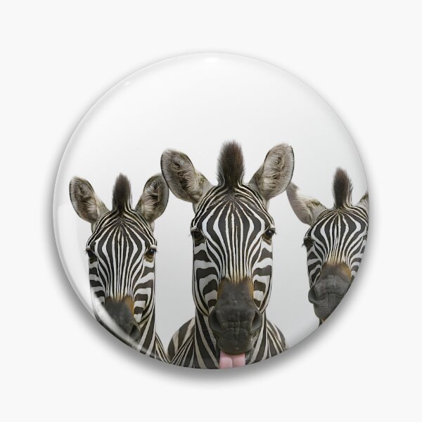 Item preview, Trio of Funny Zebras Portrait Humorous Zebra Pet Gift designed and sold by CLC54.