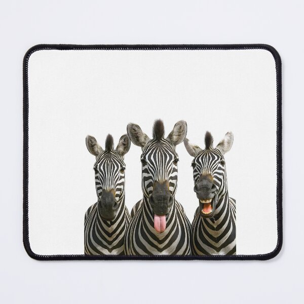 Item preview, Trio of Funny Zebras Portrait Humorous Zebra Pet Gift designed and sold by CLC54.