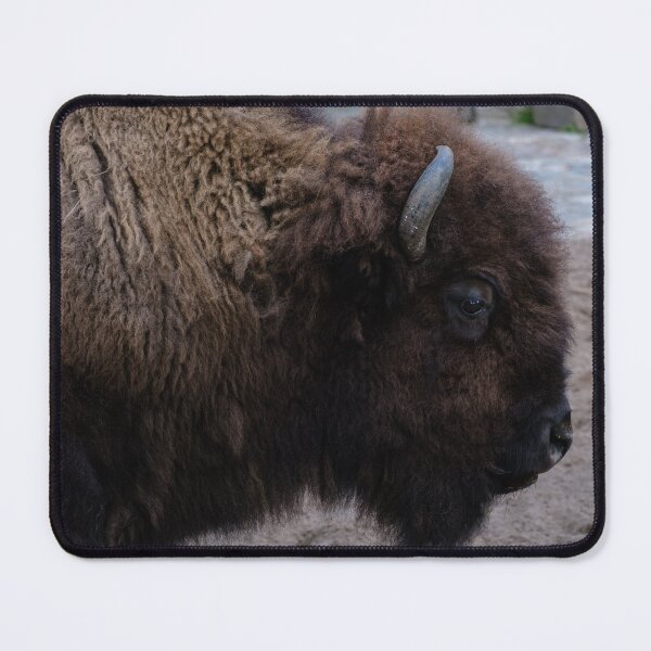 Item preview, American Bison Wildlife Photography Nature Print designed and sold by flowlens.media.