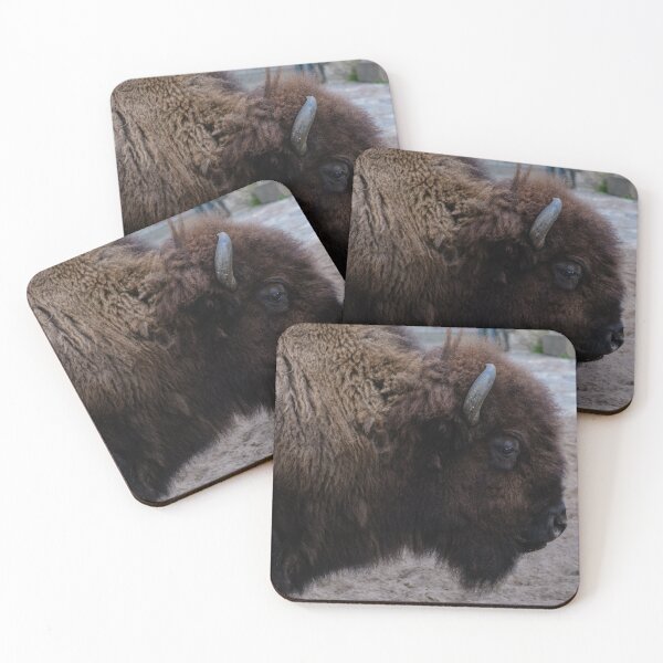 Item preview, American Bison Wildlife Photography Nature Print designed and sold by flowlens.media.