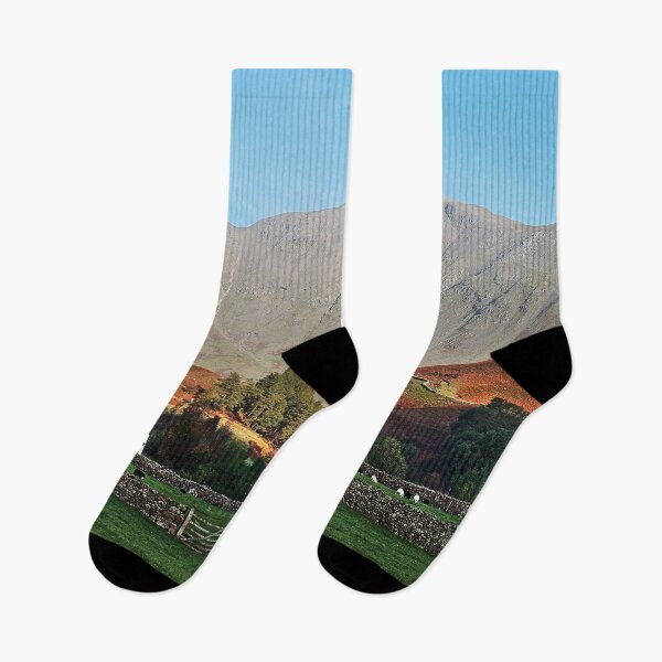 Item preview, Morning Light on Mossdale designed and sold by Murph's Images.