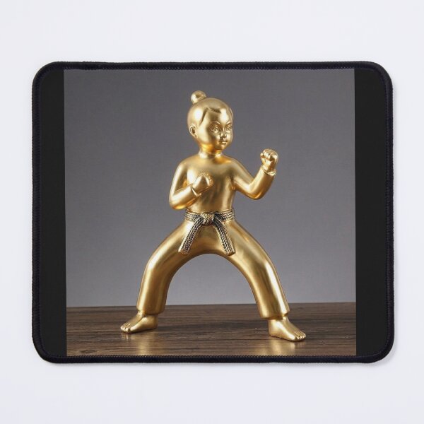 Item preview, The karate master designed and sold by prashant art factory ✅️.
