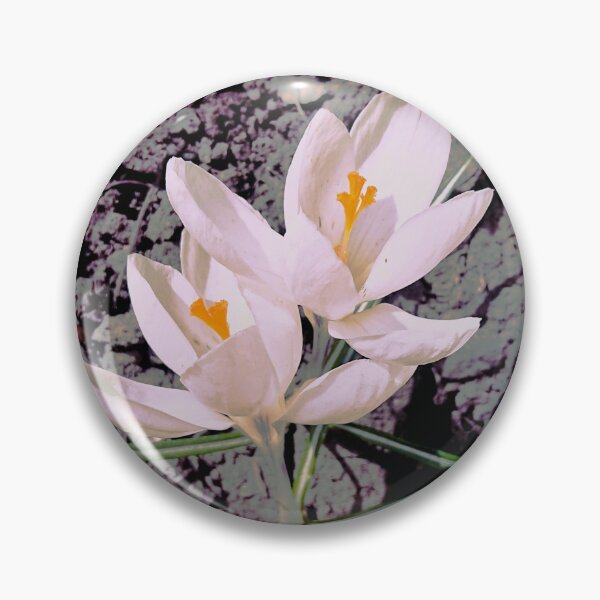 Item preview, Pink crocuses in a spring garden designed and sold by Enerjetal.